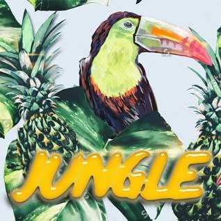 Jungle Jungle - 0 mg / 30ml - Vapeando Ando vape shop